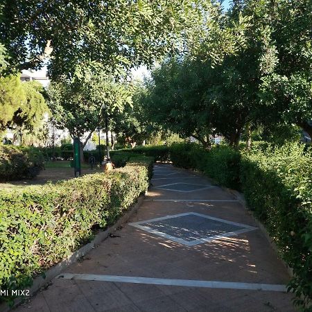 Beautiful House In Alimos Near To The Beach And Metro Atenas Exterior foto